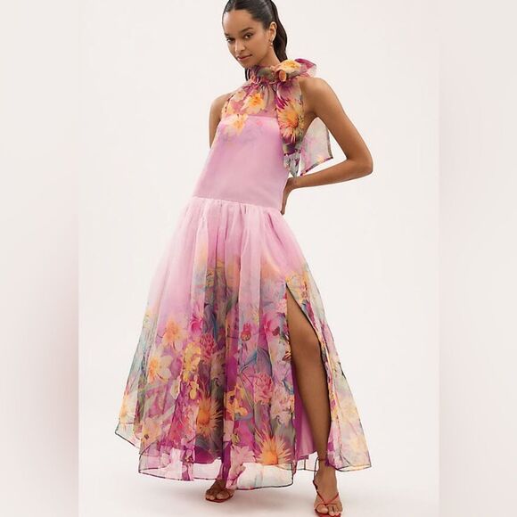 BHLDN Dresses & Skirts - New Amthropologie BHLDN Kendall High-Neck Scarf Floral Organza Maxi Dress Sz Xs